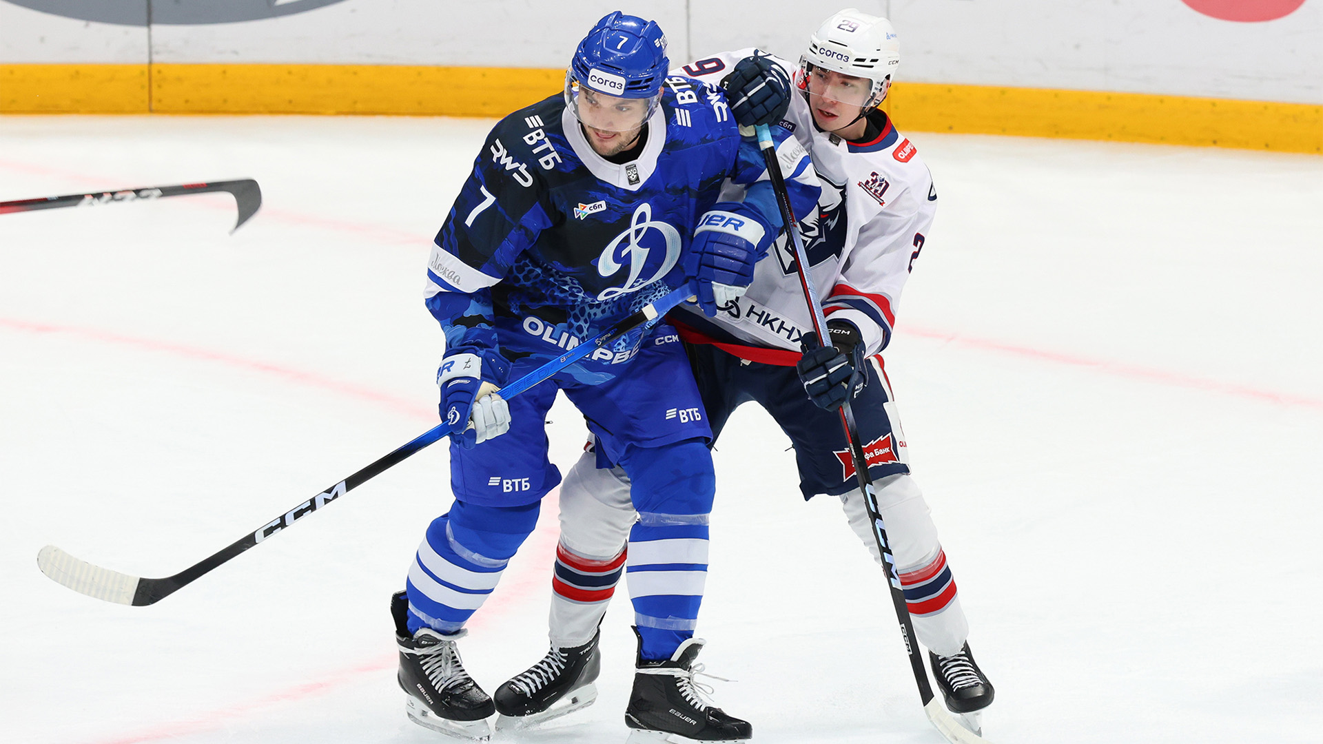 Не тот зверь. «Динамо» уступает «Нефтехимику»