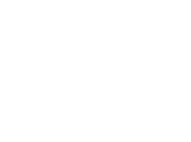 Трансфин М