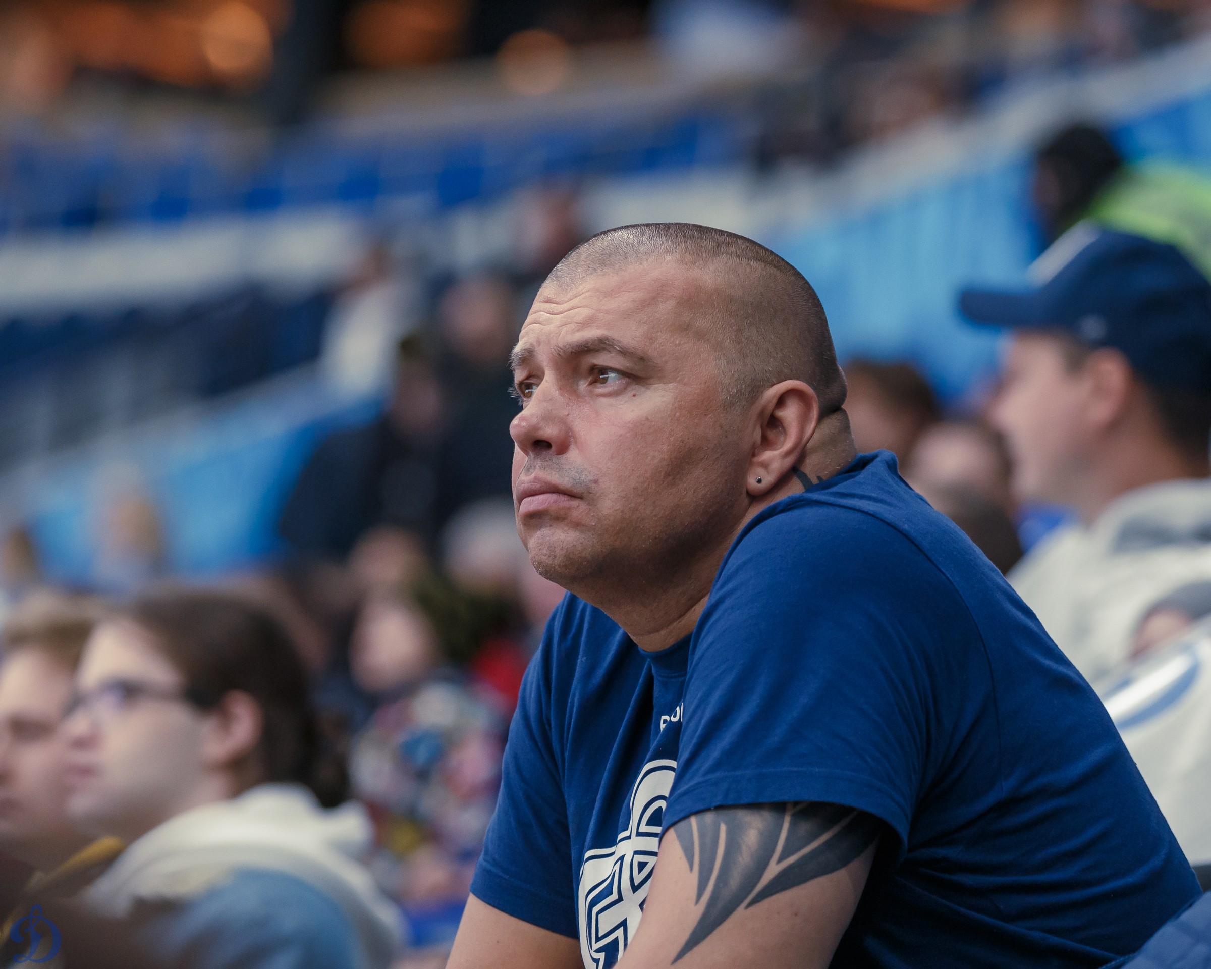 «Динамо» — «Сочи». Трибуны в лицах - Хоккейный клуб «Динамо» Москва