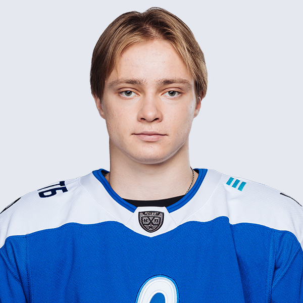 Меликов Михаил Г.