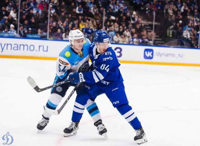 20.11.2025. «Динамо» — «Сибирь»