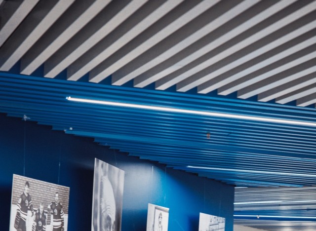 24.11.2025. «Динамо» — «Амур»