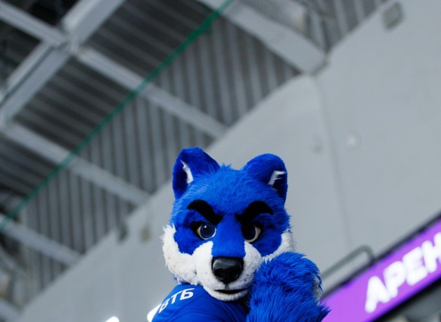 24.11.2025 Трибуны в лицах