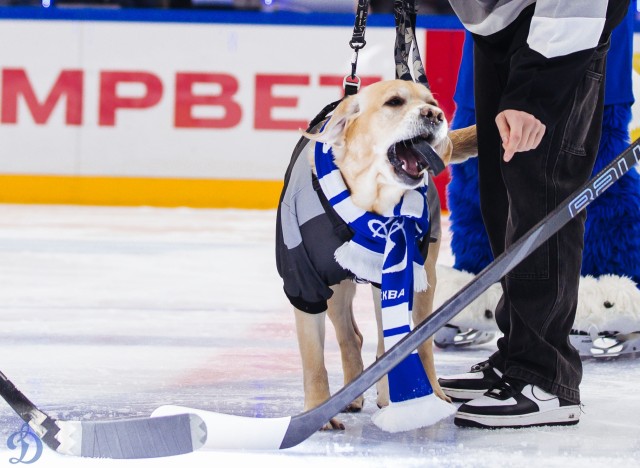 26.11.2025. «Динамо» — «Локомотив»
