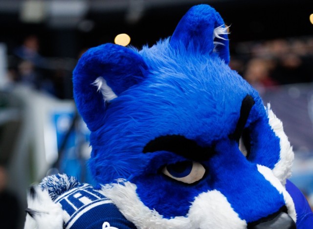 19.02.2026. Трибуны в лицах