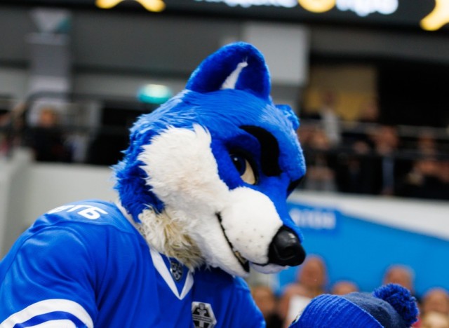 04.03.2026. Трибуны в лицах