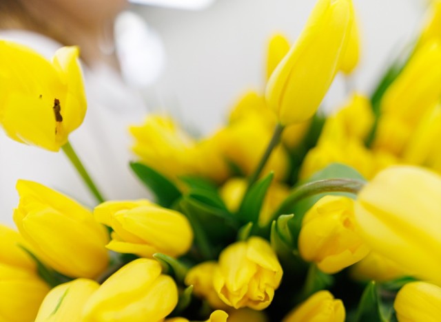 07.03.2026. Трибуны в лицах