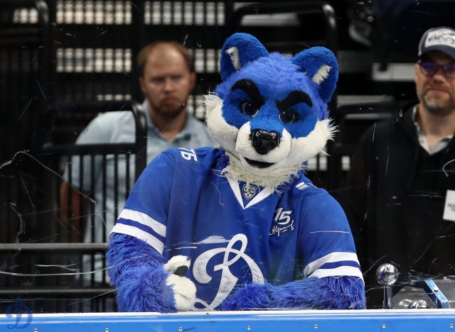 Открытая тренировка для болельщиков